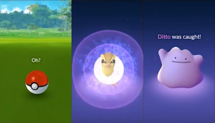 Pokémon GO: Como capturar Ditto facilmente